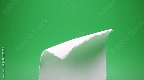 Blank paper page corner turning motion against a clean green backdrop for concept development
