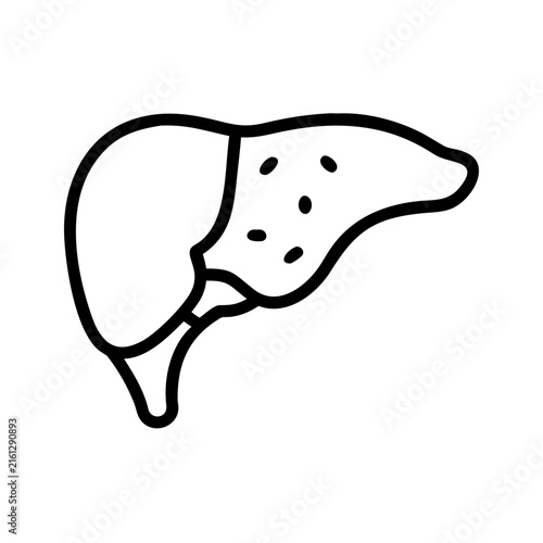 Human liver internal organ icon isolated on transparent background vector.