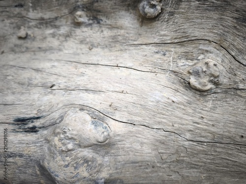 Natural weathered wood grain surface with rough texture and knots