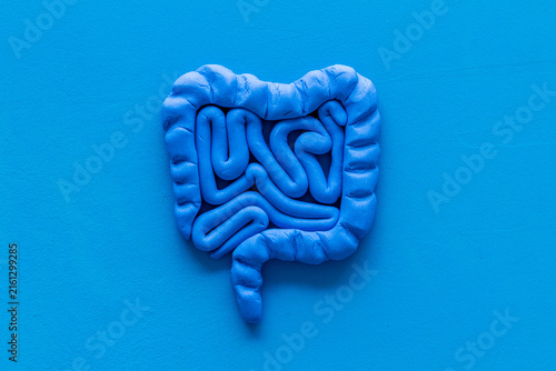 Intestines health. Guts on blue background top view copy space
