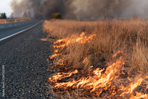 A vivid depiction of a grass fire alongside a road, with dark smoke billowing in the background, highlighting the dangers of wildfires in natural landscapes and human environments.
