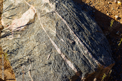 Photography Massive migmatite erratic boulder with intricate mineral layering resting on san