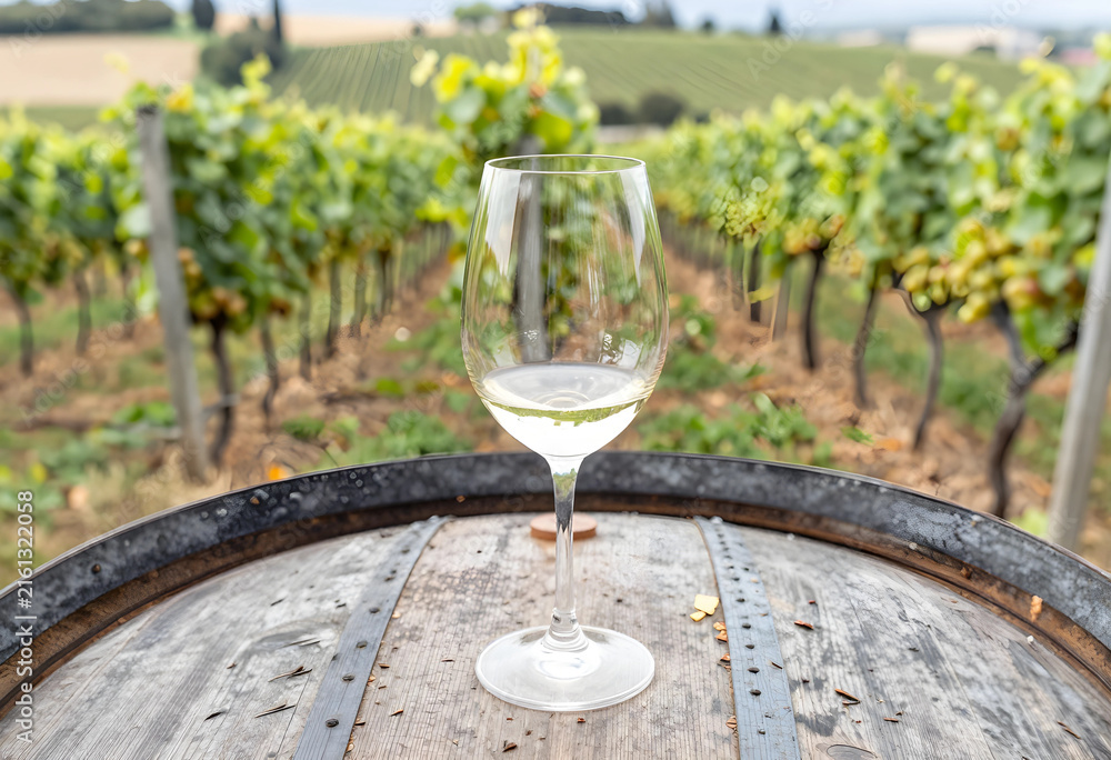 Naklejka premium Wine tasting experience in a vineyard, white wine glass on a wooden barrel with grapevines in the background