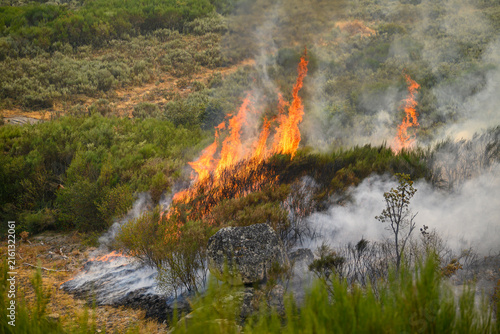 Canvas Print Bushfire blazing across rocky hillside The Concept of environmental disaster