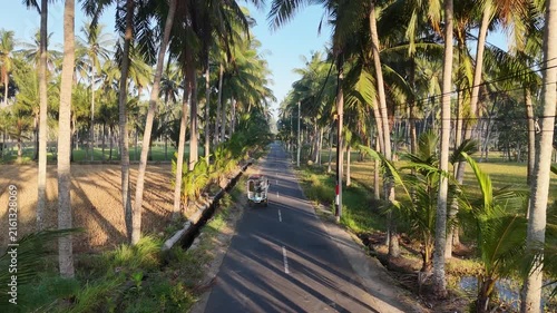 Traditional motorized cart cidomo driving on rural asphalt road lined with tall coconut palm trees and rice fields in Bali Lombok Indonesia sunny day