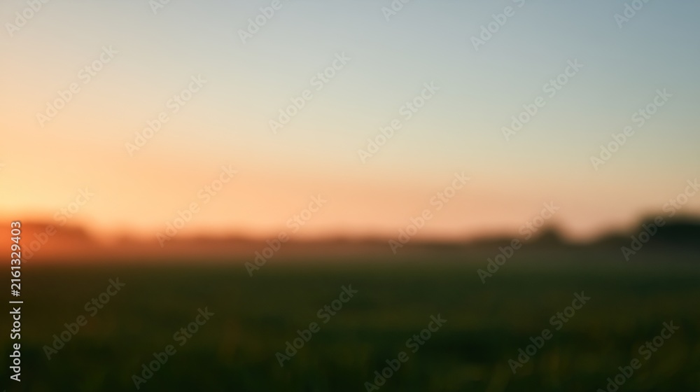 Fototapeta premium Soft sunrise over a misty, green field with distant trees