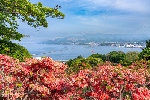 北海道、小樽、手宮公園、つつじ、海、花、風景、青空、観光地、晴れ、自然、日本、空、観光、春、植物、名所、島、満開、雲、旅行