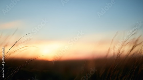 Soft focus prairie grass at sunset with warm, golden light