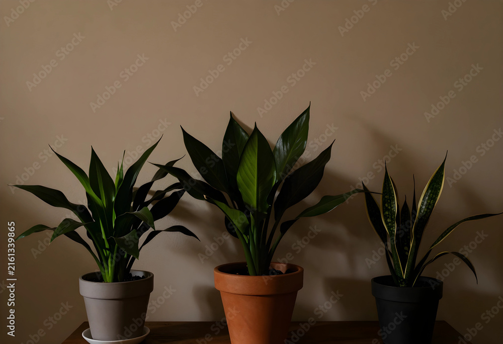 Fototapeta premium Indoor plants for home decor and wellness, green foliage in pots on a wooden shelf against a neutral wall background