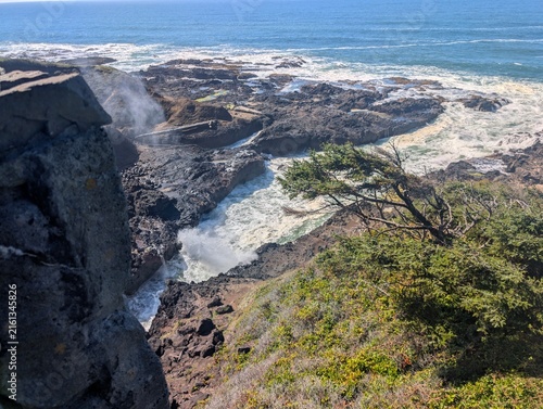 Fotografie Wind sculpted tree on a basalt headland above churning surf on the Oregon coast