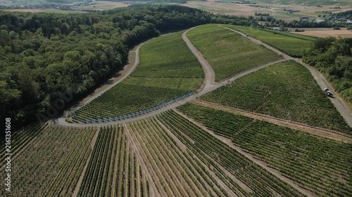 Relaxing aerial view of green vineyards and agricultural countryside captured on a sunny summer day.