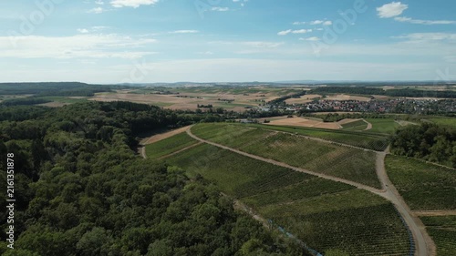 High-quality drone footage featuring flourishing vineyards surrounded by rolling hills beneath a bright blue sky.
