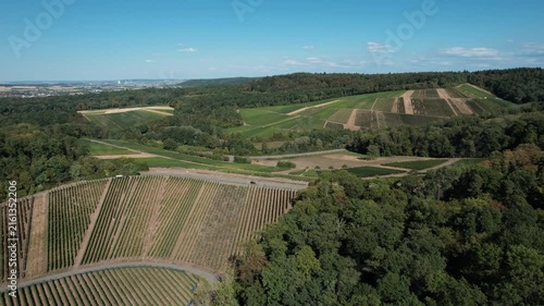 Beautiful drone footage of lush green vineyards during summer with clear blue skies and rolling countryside.
