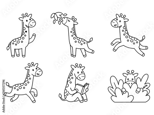 Photography Cute little giraffes vector collection coloring page with coloring, wildlife