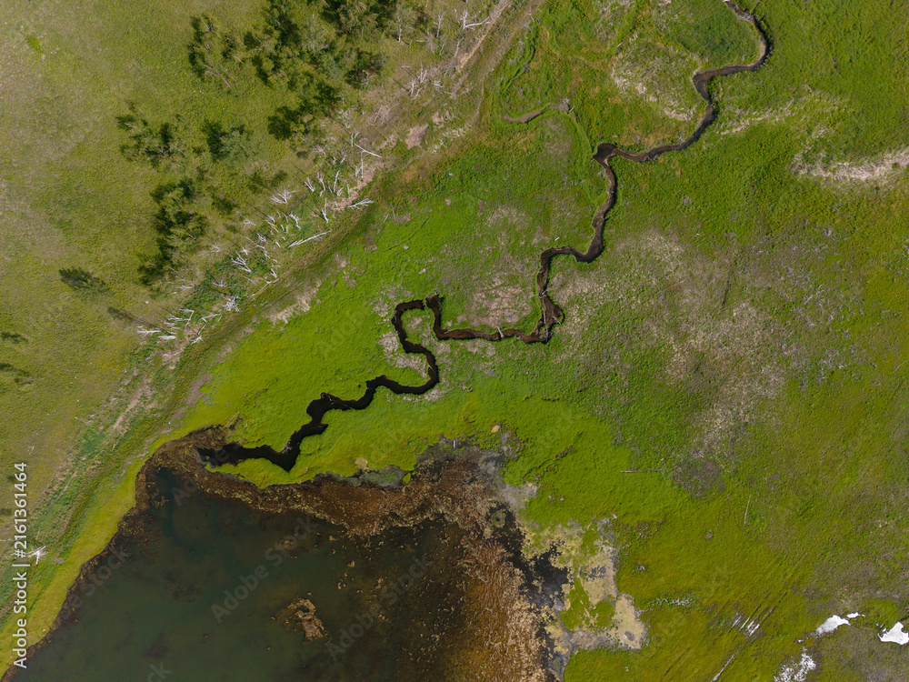 Naklejka premium Meandering creek entering pond from green marshland aerial view