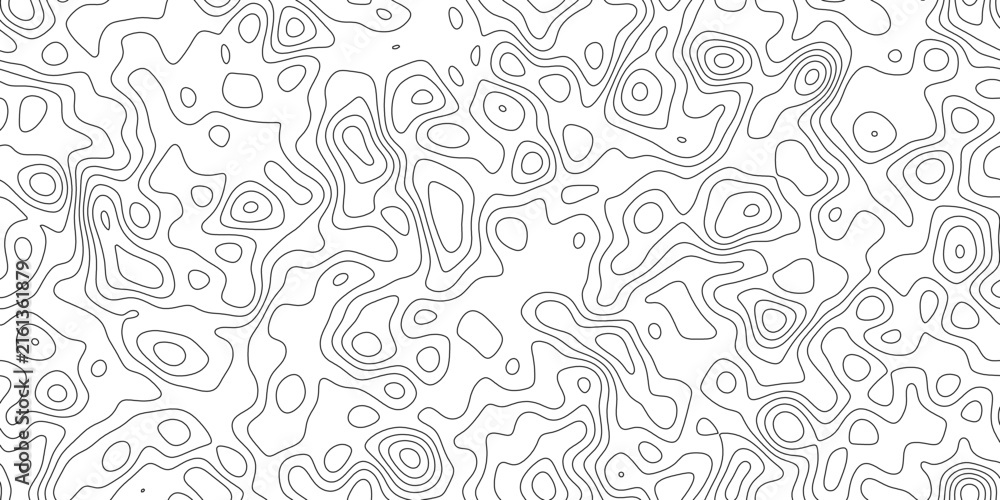 Fototapeta premium Abstract minimal contour map line pattern background, with smooth flowing lines and variable spacing, for backdrop, packaging and web design.