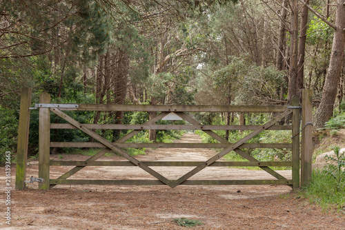 Фотография Wooden gate blocking forest path entrance
