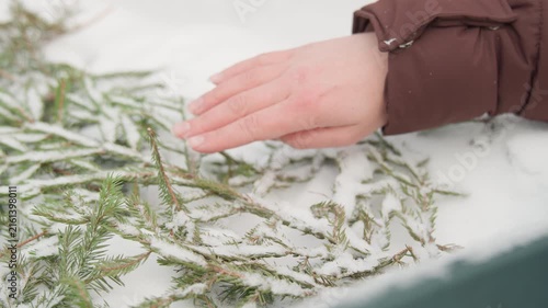 Close low angle view of adult hand smoothing frosted evergreen sprigs on snow covered surface, showing gentle fingertip sweep, light snow displacement, winter texture, and calm natural arrangement