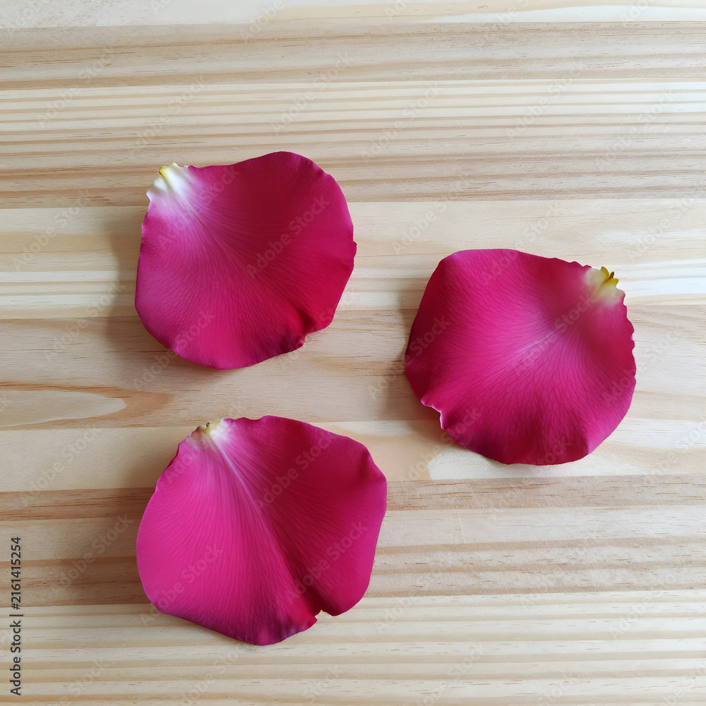 Fototapeta premium Love and romance concept, three vibrant pink rose petals scattered on a light wooden background, natural beauty and delicate texture