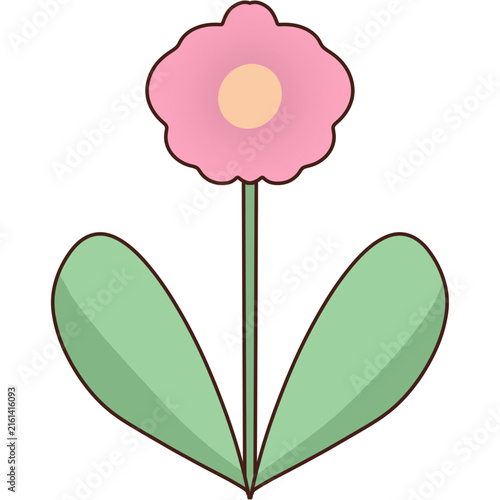 Simple pink flower growing with green leaves