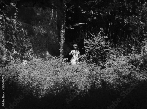 Foto Broken Classical Female Statue Hidden in an Overgrown Forest in Austria