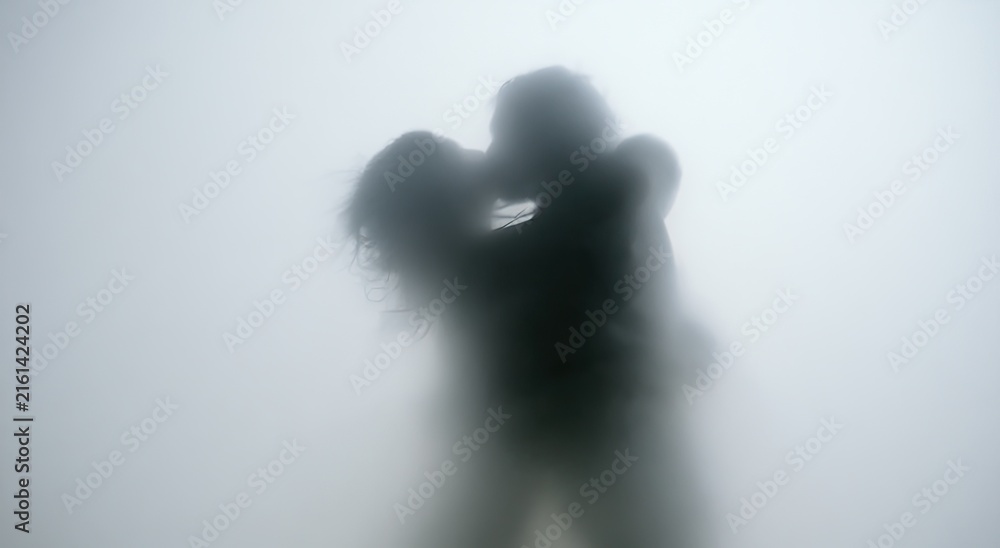 Naklejka premium Silhouetted couple embraces passionately through translucent, misty haze