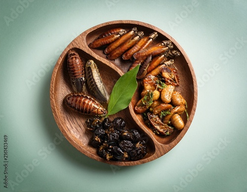 delicious edible insects diet with sustainable protein eco friendly