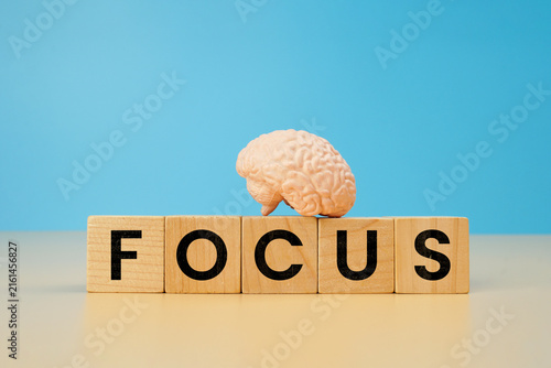 Focus concept with wooden letter blocks and miniature human brain model on blue background, representing concentration, attention, productivity, mindset and cognitive performance.