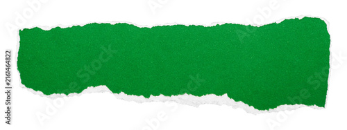 Wide green ripped paper banner with irregular torn edges