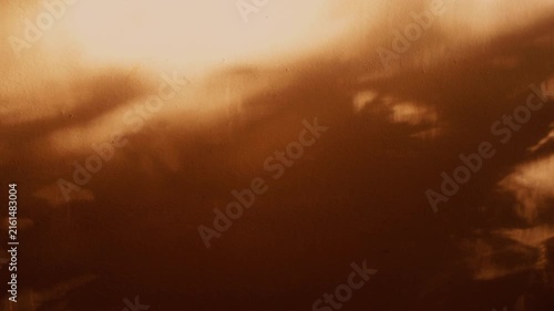Cinematic abstract background featuring soft natural foliage shadows of tree leaves gently swaying in the wind, cast on a warm golden wall under bright sunlight to create a calm, peaceful, and nostalg