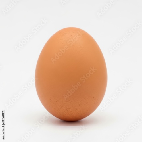 Brown egg on clean surface