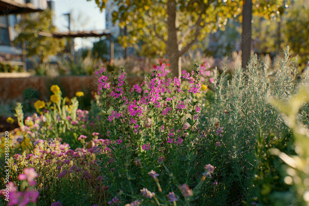 Obraz premium Urban Pollinator Garden with Native Flowers