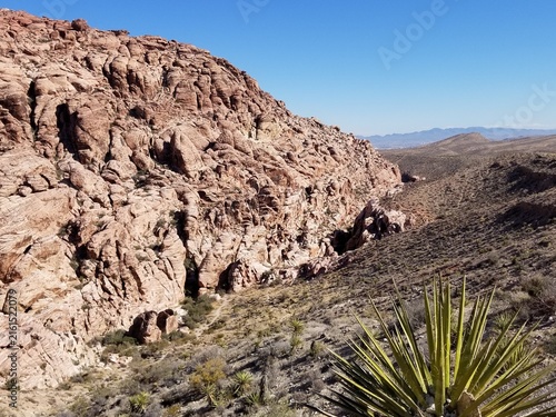 Photography Rugged desert canyon and yucca at Red Rock Canyon Nevada