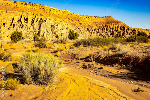 Golden sunlight on clay pinnacles at Juniper Draw