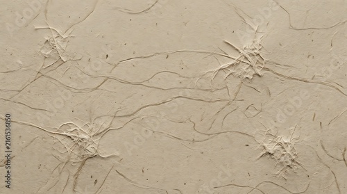 Beige fibrous paper texture with organic cracked surface patterns and natural fibers.