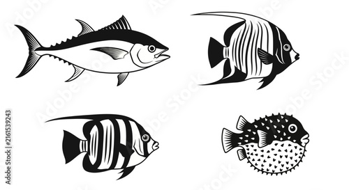Marine fish species line art set.