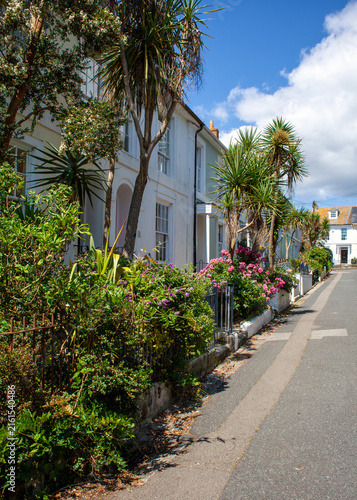 Cuadro en lienzo Early Victorian terraced houses resplendent with Cornish palm trees (Cordyline a