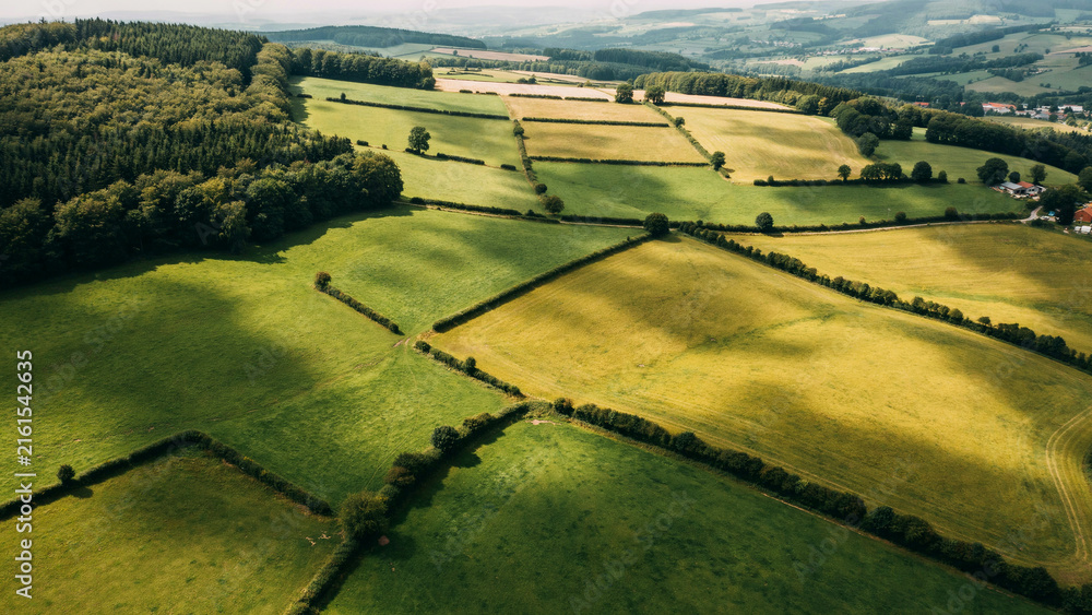 Obraz premium Aerial View of Lush Green Rolling Farmland and Verdant Countryside Fields