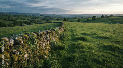 Dry stone wall stretches across rolling farmland dotted with grazing sheep