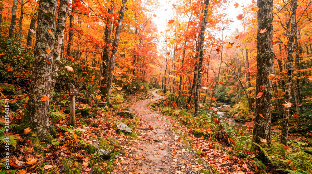 Fototapeta premium Sendero boscoso en otoño con hojas doradas cayendo al viento, bordeado por árboles coloridos y un arroyo de montaña.