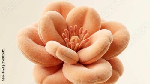 Closeup of a Soft Peach Floral Blossom Displaying Delicate Petals and Unique Organic Shapes on a Light Background