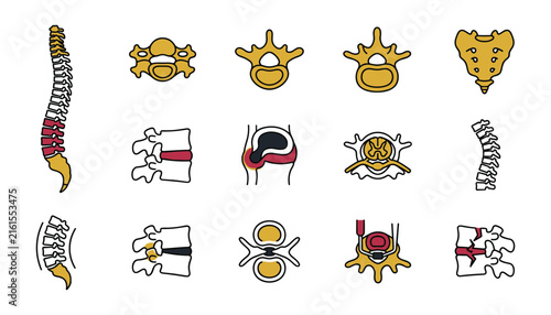 Foto Set of spine and vertebrae icons, including spinal column, herniated disc, spina