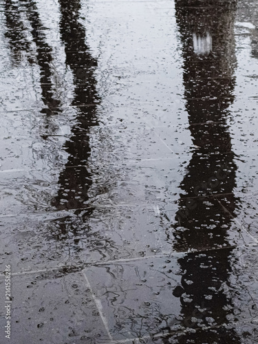 A vertical high-angle shot of rain ripples in a puddle on paved ground reflecting tree silhouettes