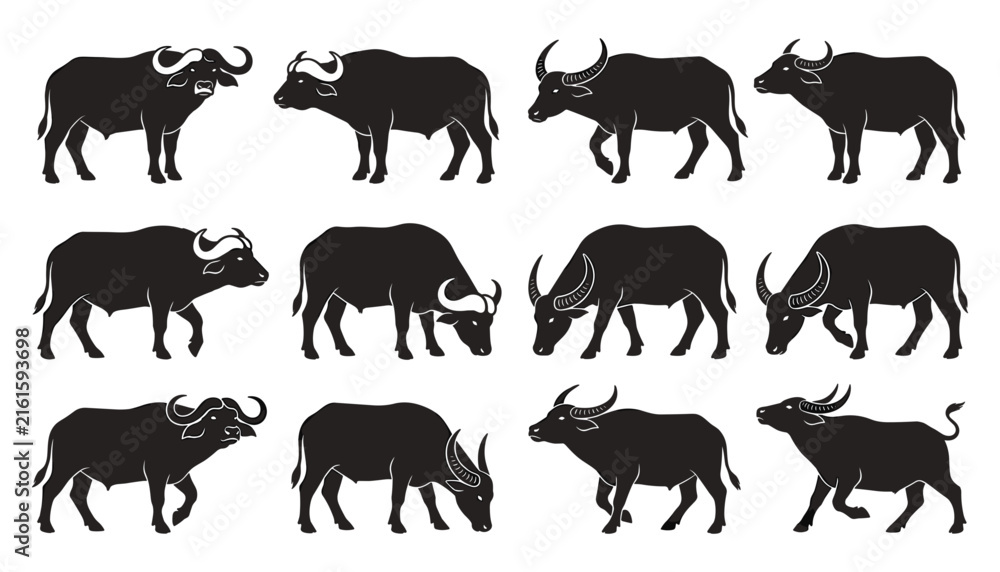 Obraz premium African Cape Buffalo and Asian Water Buffalo Silhouette Icon Set Featuring Wild Bulls in Various Poses Vector Illustration for Livestock and Wildlife Designs