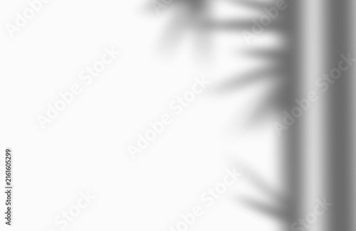 Soft bamboo leaf shadow overlay effect cast with displays soft blurred on transparent background