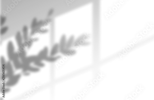 Soft natural sunlight casting foliage shadows through a window pane on transparent background
