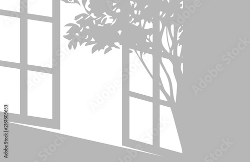 Window frame and tree foliage shadow projection with displays projection on transparent background
