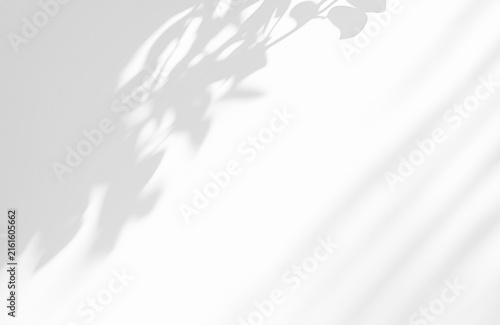 Abstract foliage shadow overlay projecting soft organic patterns on transparent background
