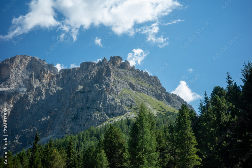 Fototapeta premium Mountains rise above trees under a clear blue sky in a forest setting during daytime
