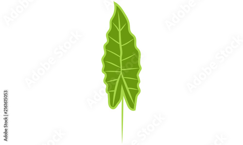 Elongated wavy green leaf flat vector graphic